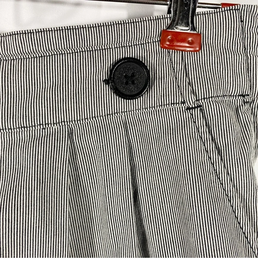 Anthropologie | Lux Striped Shorts - Picture 3 of 8